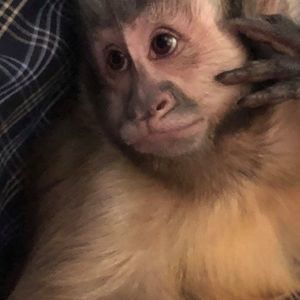 Meet your Posher, Cindy